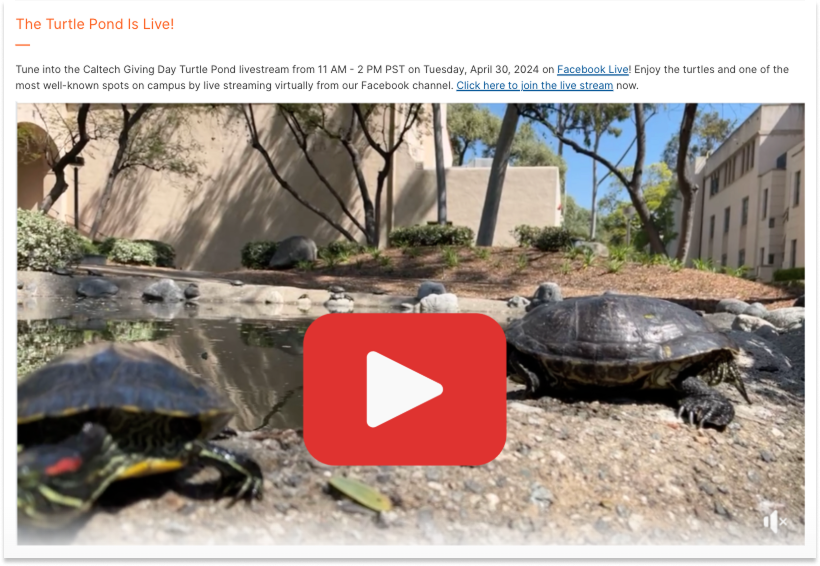 Caltech Giving Day 2024 - Turtle Pond livestream. video