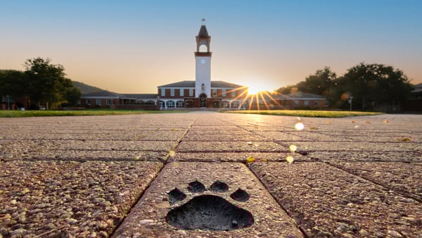 Quinnipiac University Campus featuring the iconic clock tower in the distance and a Bobcat paw in the foreground.
